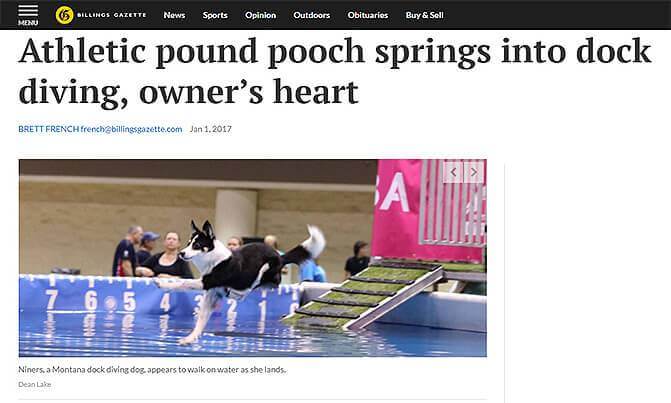 Billings Gazette Story Dog Sports