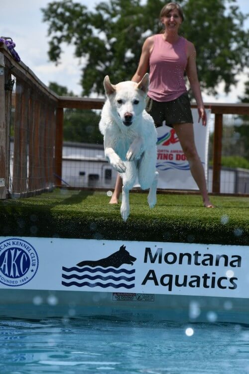 Dog Agility Training - Billings K9 Coaching -The Most Fun You've Ever Had